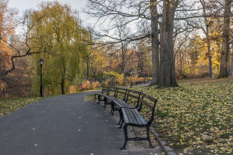 6,494 Central Park Bench Stock Photos Free & RoyaltyFree Stock