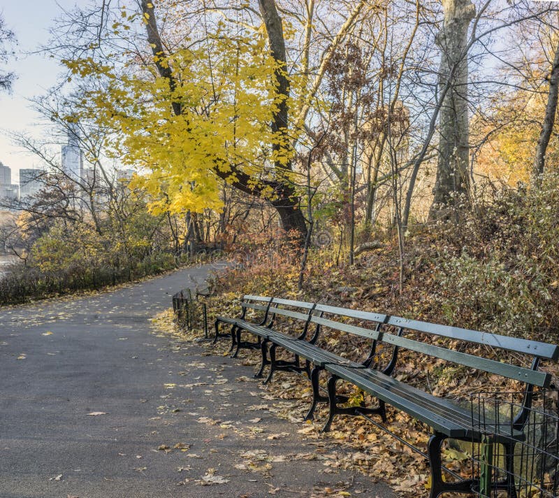 Central Park Bench Stock Photos - Download 4,023 Royalty Free Photos