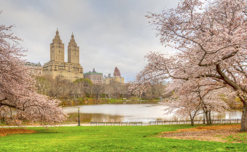 Central Park, New York City in Spring Stock Photo - Image of lake, tree ...