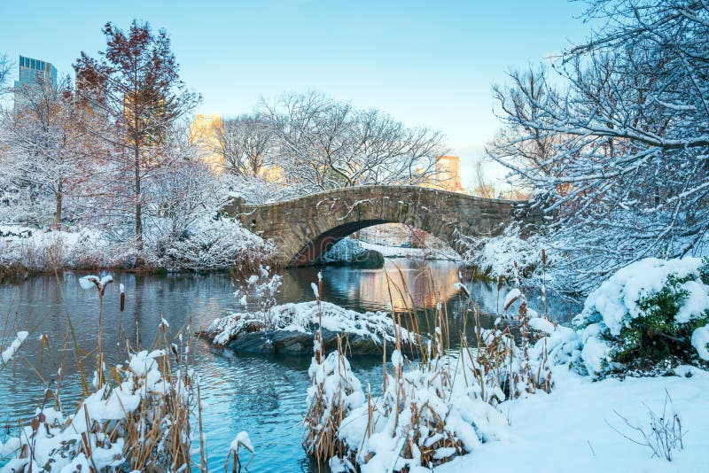 Central Park. New York. USA in Winter Covered with Snow Stock Photo