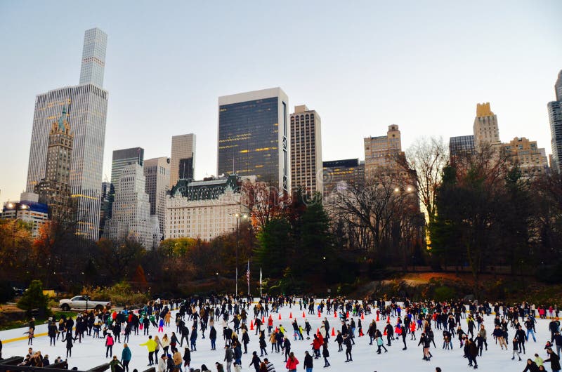 Central Park no inverno, New York City foto de stock royalty free Central Park no inverno, New York City foto de stock royalty free