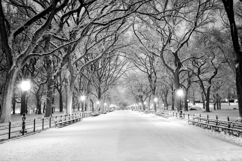 Central Park, New York, coperto di neve all'alba fotografia stock