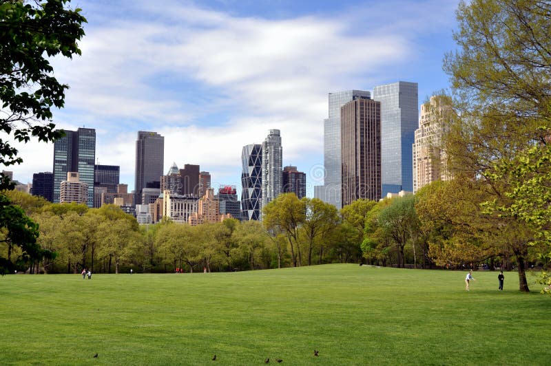 Central Park, NYC: De Weide & de Horizon van schapen royalty-vrije stock afbeelding Central Park, NYC: De Weide & de Horizon van schapen royalty-vrije stock afbeelding