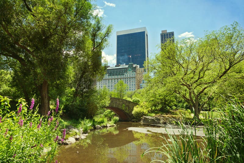 Central Park pond and bridge. New York City, NY, USA.