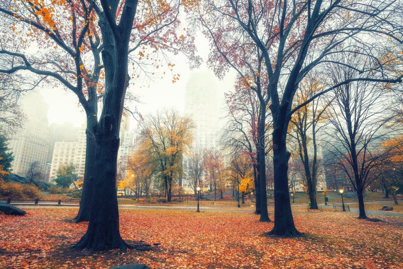 NY Central Park at Rainy Morning Stock Photo - Image of architecture ...