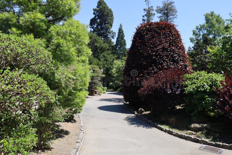central park san mateo 4th of july