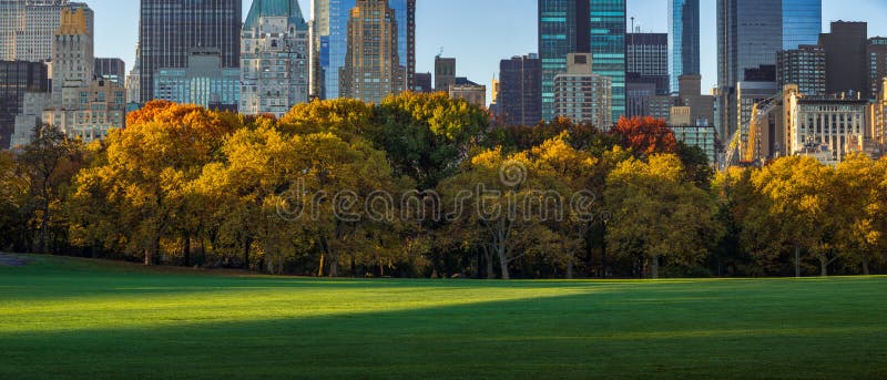 Sheep on meadow stock image. Image of fence, green, high - 17583193