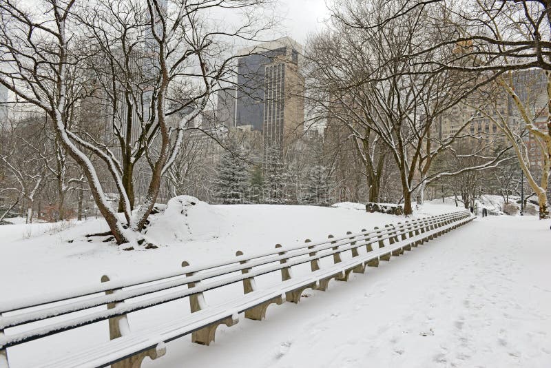 Central Park in Snow, Manhattan, New York City Stock Image - Image of ...