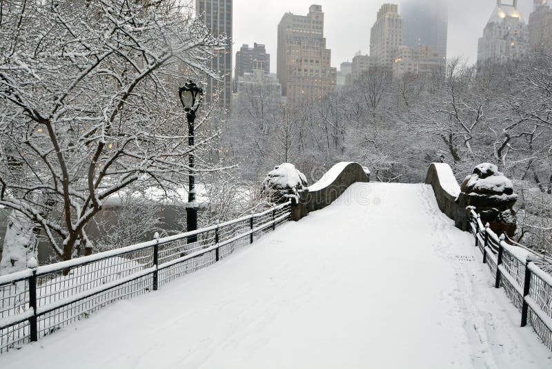 Central Park in snow storm