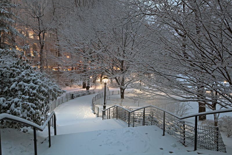 Central Park Stairs Stock Photos Download 1042 Royalty