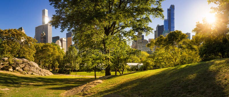 Central Park in Summer with Manhattan Skyscrapers, New York City