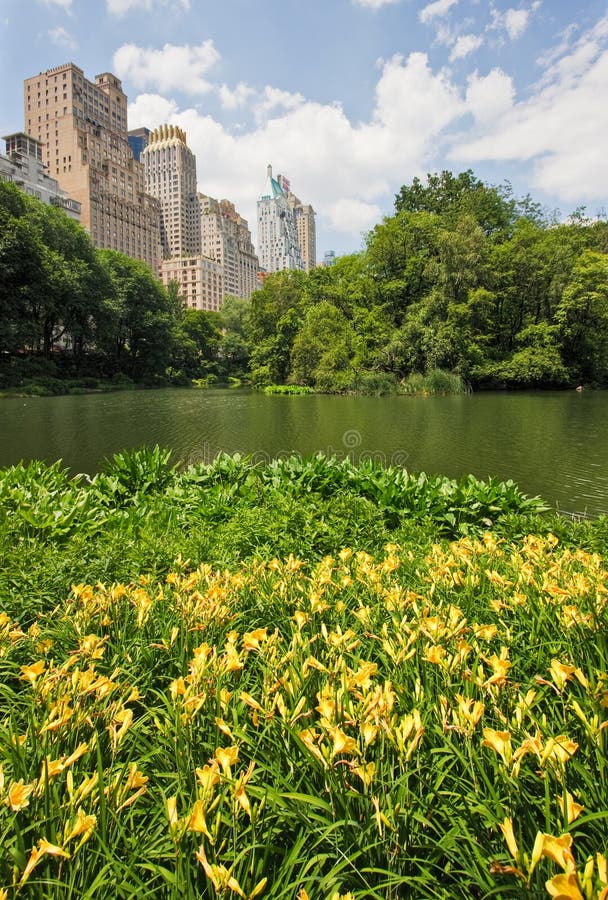 Central Park Und New York City Stockfoto Bild von anstieg, teich 6541298