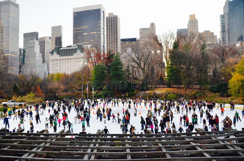 Central Park w zimie, Miasto Nowy Jork fotografia stock Central Park w zimie, Miasto Nowy Jork fotografia stock