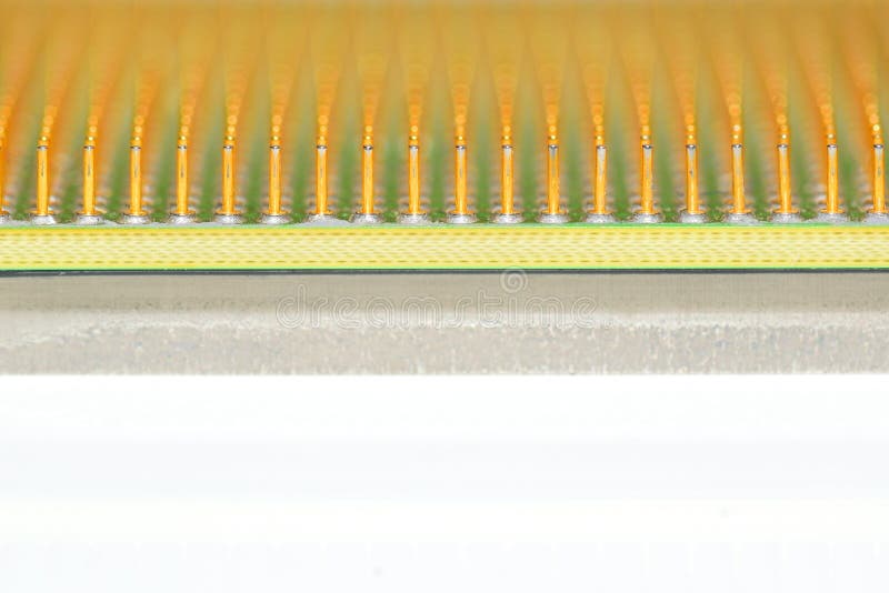 Central processor unit. Golden pins of a core. Copy space in the bottom. Shallow depth of field stock photos