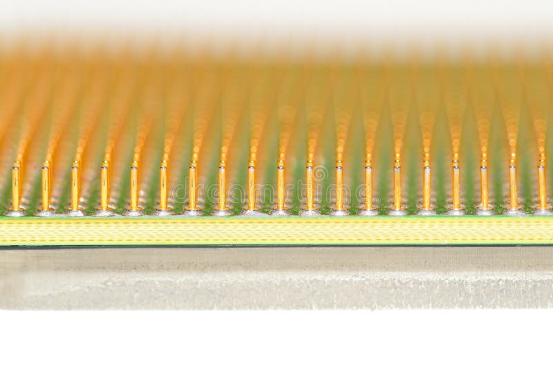 Central processor unit. Golden pins of a core. Copy space. Shallow depth of field. Close-up stock images