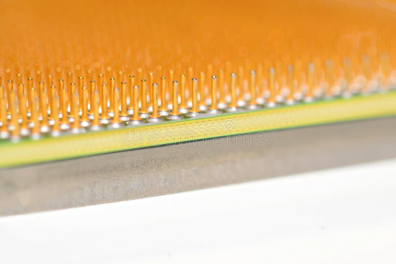 Central processor unit. Golden pins of a core. Copy space. Shallow depth of field. Close-up stock photography