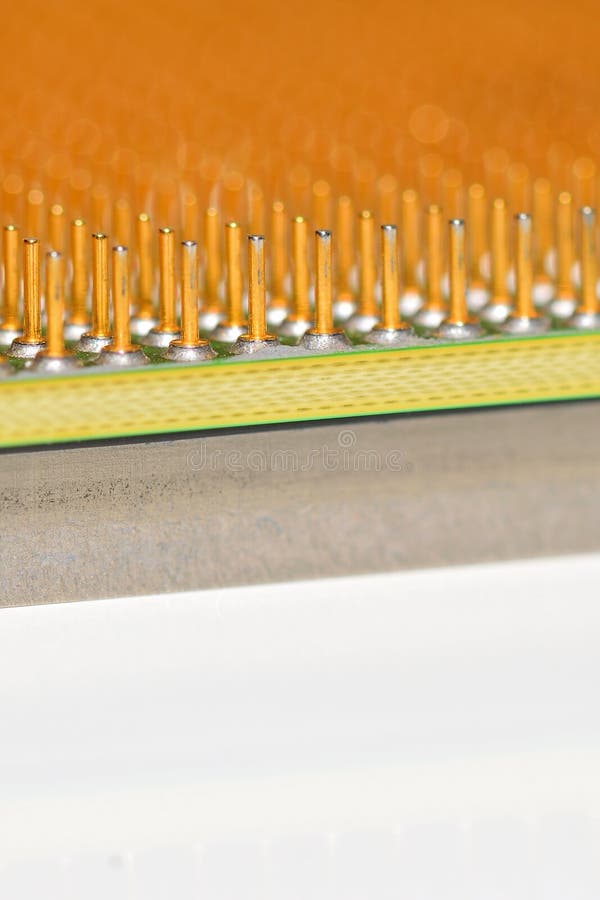 Central processor unit. Golden pins of a core. Copy space. Shallow depth of field. Close-up stock image