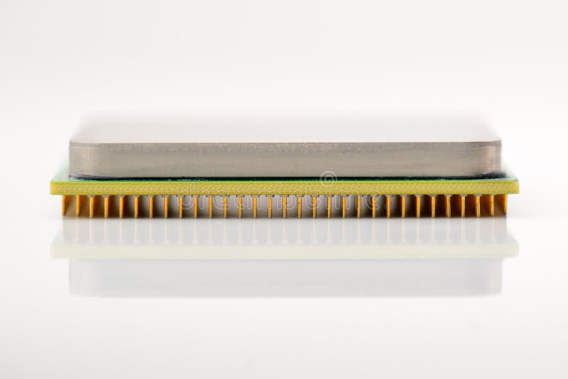 Central processor unit. Golden pins of a core. Copy space. Shallow depth of field. CPU. White background royalty free stock photo