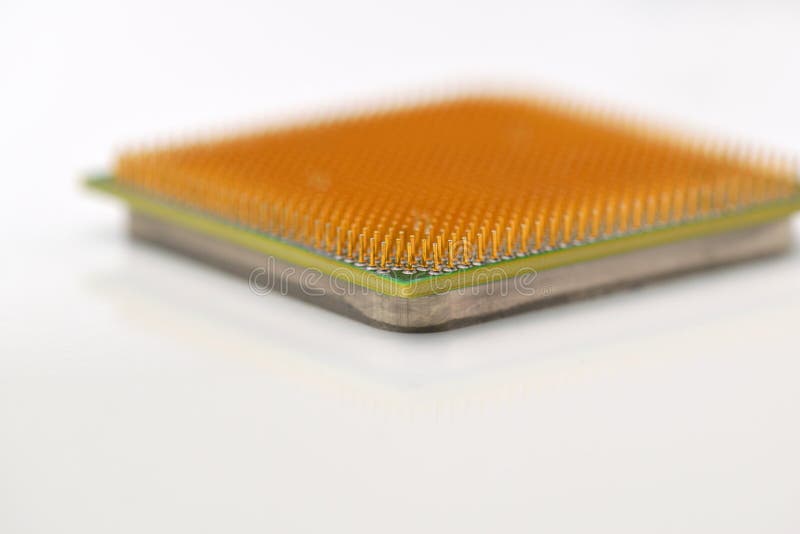 Central processor unit. Golden pins of a core. Copy space. Shallow depth of field. CPU on a white background stock image