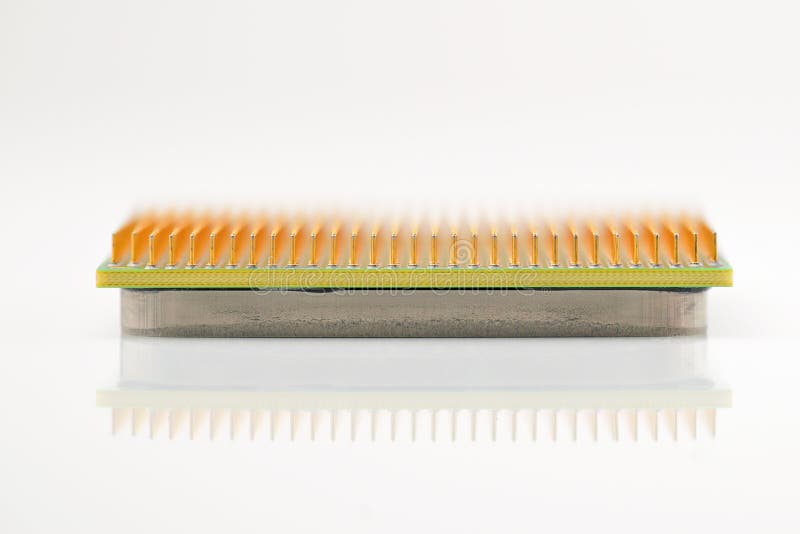 Central processor unit. Golden pins of a core. Copy space. Shallow depth of field. CPU. White background. Upside-down stock images