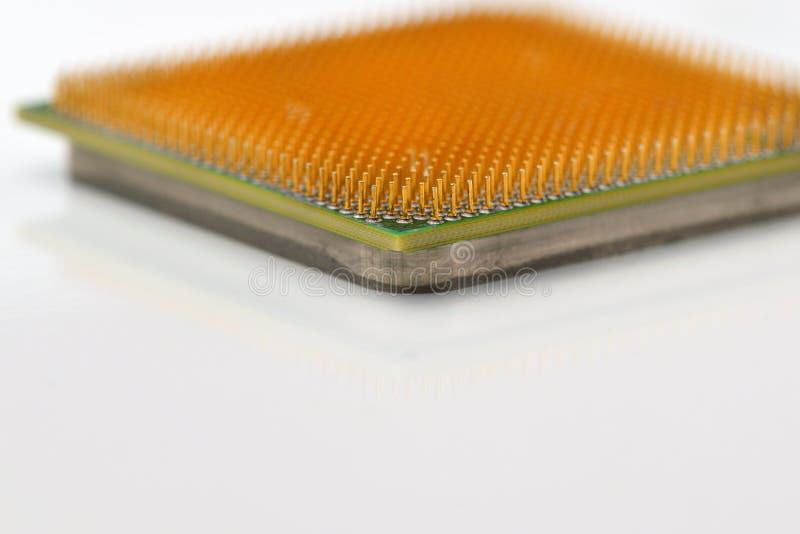 Central processor unit. Golden pins of a core. Copy space. Shallow depth of field. CPU. White background. Upside-down stock photo
