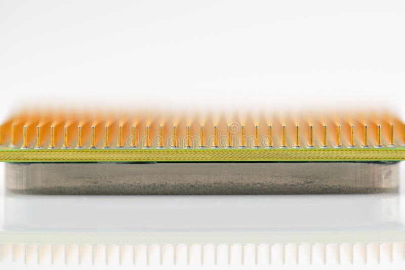 Central processor unit. Golden pins of a core. Copy space on top. Shallow depth of field. White background stock photos
