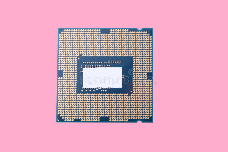 Central Processor unit isolated on pink background at dry sunny royalty free stock images