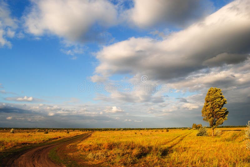 Central Ukraine Landscape stock images