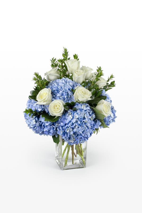 Centro azul de la hortensia y de flores de las rosas blancas en un florero de cristal grande Diseño floral mínimo de un florista fotos de archivo libres de regalías Centro azul de la hortensia y de flores de las rosas blancas en un florero de cristal grande Diseño floral mínimo de un florista fotos de archivo libres de regalías