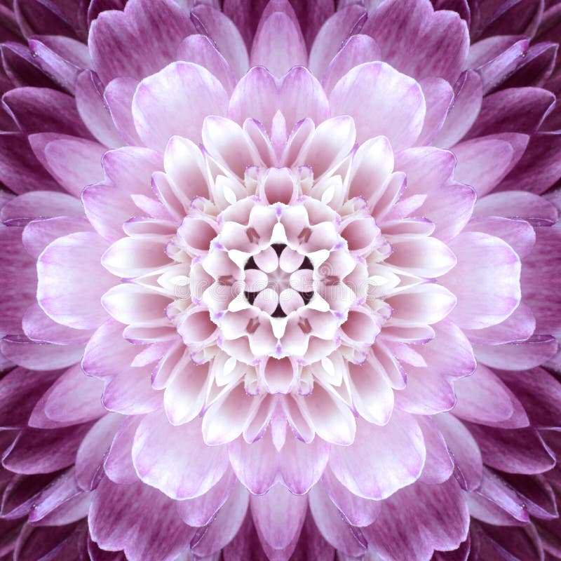Centro concéntrico rosado de la flor. Diseño de Mandala Kaleidoscopic
