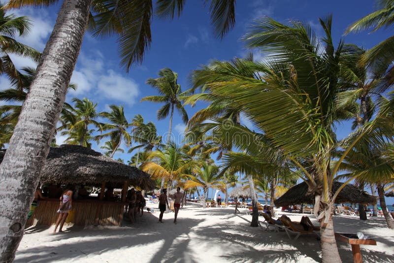 Beach bar in tropical resort, Punta Cana, Dominican Republic. Beach bar in tropical resort, Punta Cana, Dominican Republic