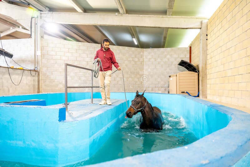 Rehabilitation center for animals after sportive injures with a pool for hydrotherapy. Rehabilitation center for animals after sportive injures with a pool for hydrotherapy