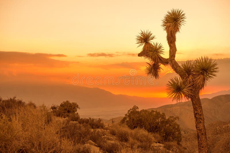 Cenário do deserto de Califórnia imagens de stock Cenário do deserto de Califórnia imagens de stock
