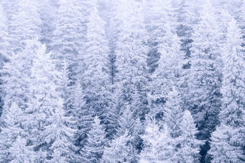 Paisagens de inverno fotos de stock