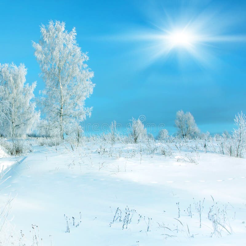 Paisagem de inverno fotografia de stock
