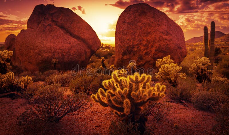 Cenário dramático do deserto fotografia de stock royalty free Cenário dramático do deserto fotografia de stock royalty free