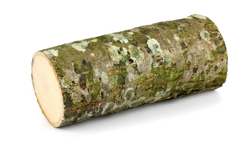 Ceppo obsoleto di legno Vista superiore immagine stock libera da diritti Ceppo obsoleto di legno Vista superiore immagine stock libera da diritti