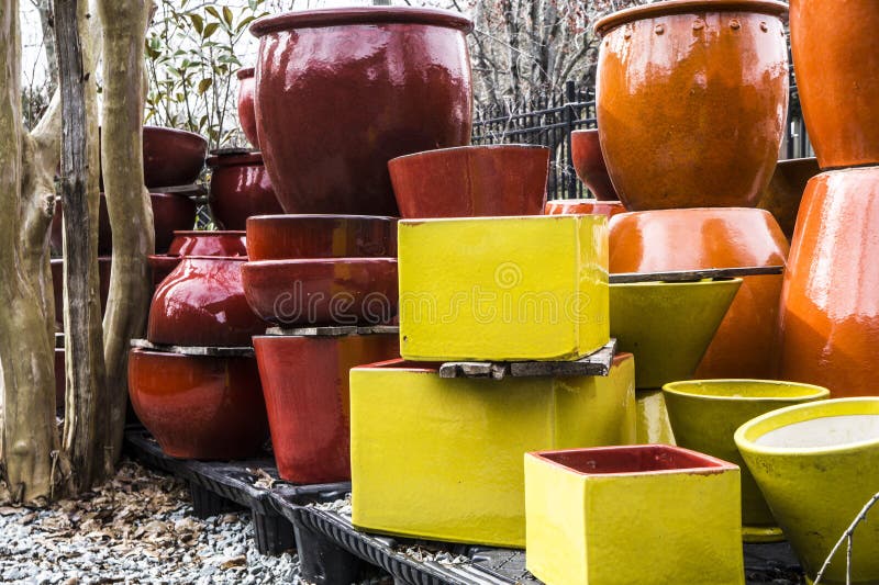 Ceramic Pot Plants with Tree Stock Photo Image of lawn, tree 69068088