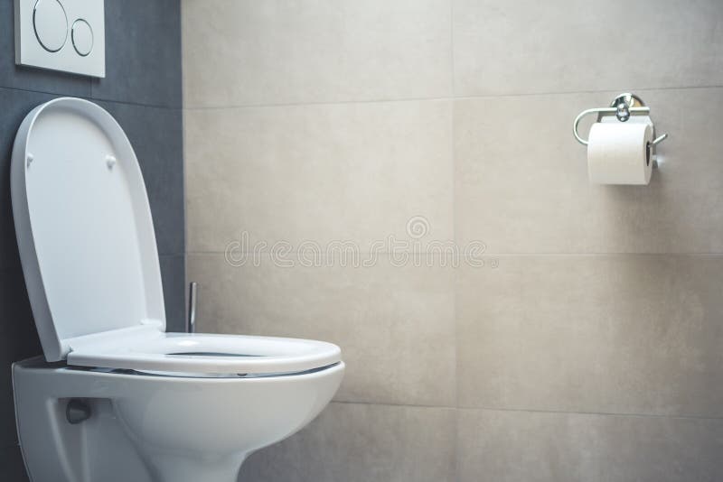 Ceramic White Toilet Bowl Near Grey Wall, Side Light in the Modern