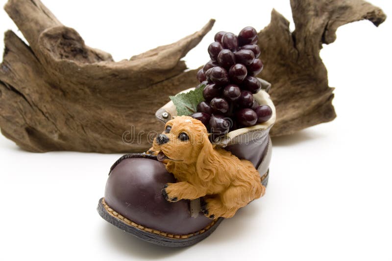 Are Wild Grapes Poisonous To Dogs