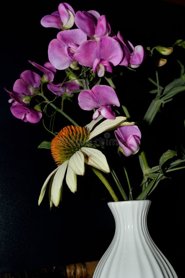Ceramische vaas van close-up de Zoete Pea White Cone Flower stock afbeelding Ceramische vaas van close-up de Zoete Pea White Cone Flower stock afbeelding