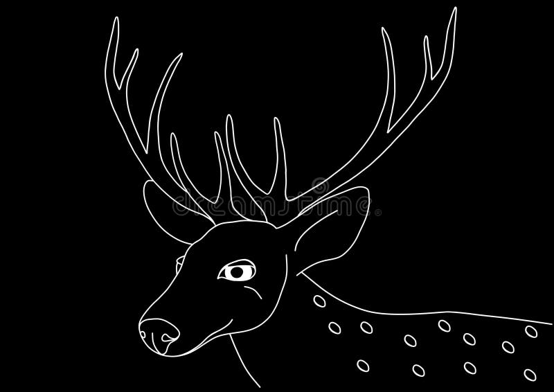 Cerb cu linie albă cu coarne mari pe fond negru vector illustration