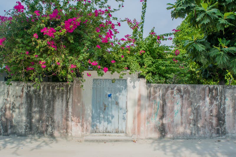 Cerca con la entrada a la yarda de la casa viva en la isla tropical fotos de archivo libres de regalías Cerca con la entrada a la yarda de la casa viva en la isla tropical fotos de archivo libres de regalías