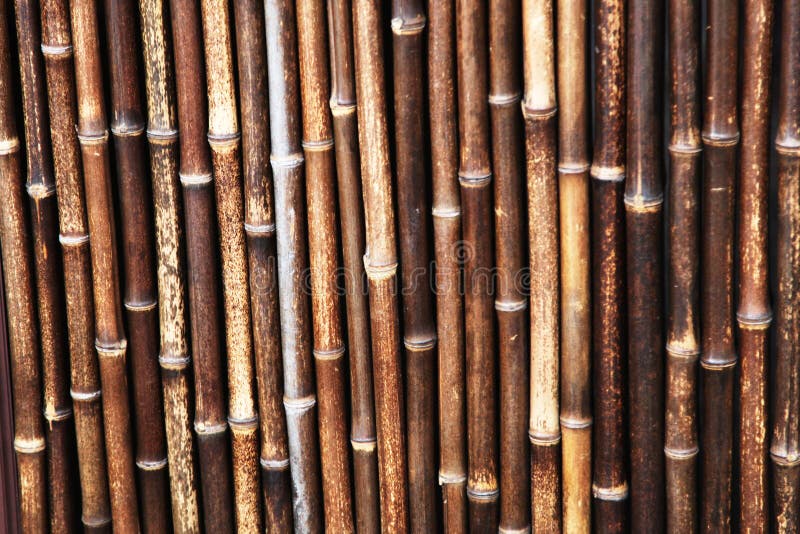 Cerca de bambu velha fotografia de stock Cerca de bambu velha fotografia de stock