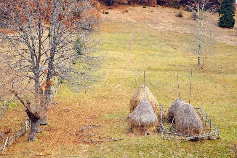 Haycock and old wooden fence in generic transylvania hill forest village. Haycock and old wooden fence in generic transylvania hill forest village