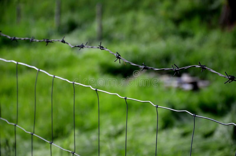 Cercas Con Malla De Alambre Galvanizado Forestal Hecha De Alambre Metálico  Contra El Gusto Y La Entrada Protege a Los Ladrones De Imagen de archivo -  Imagen de alambre, mordaz: 185297429