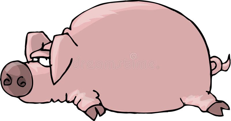 Cerdo plano libre illustration Cerdo plano libre illustration
