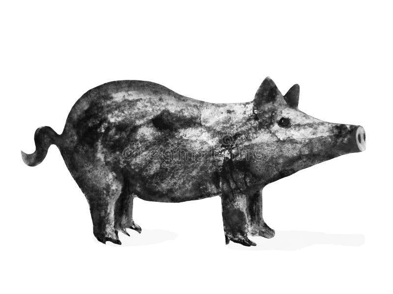 Cerdo - símbolo de 2019 años, ejemplo de la tinta de la acuarela, aislado en blanco stock de ilustración Cerdo - símbolo de 2019 años, ejemplo de la tinta de la acuarela, aislado en blanco stock de ilustración