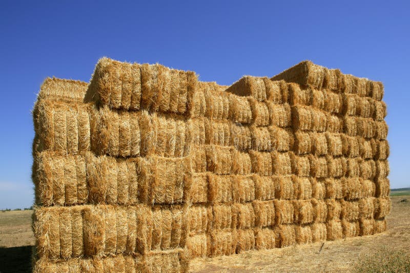 Cereal barn with square shape stack on columns royalty free stock photos