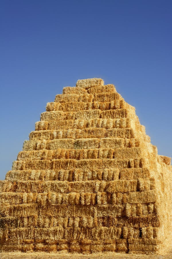 Cereal barn with square shape stack on columns royalty free stock photos